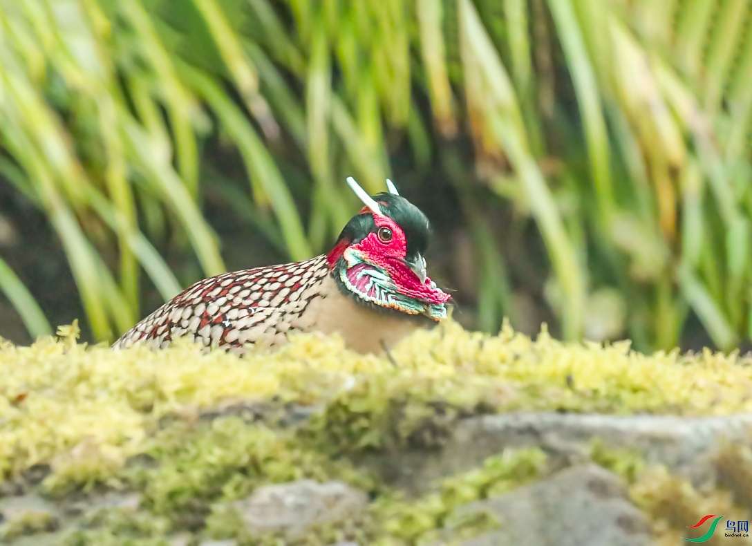 _U4I6027 ���� 2.jpg