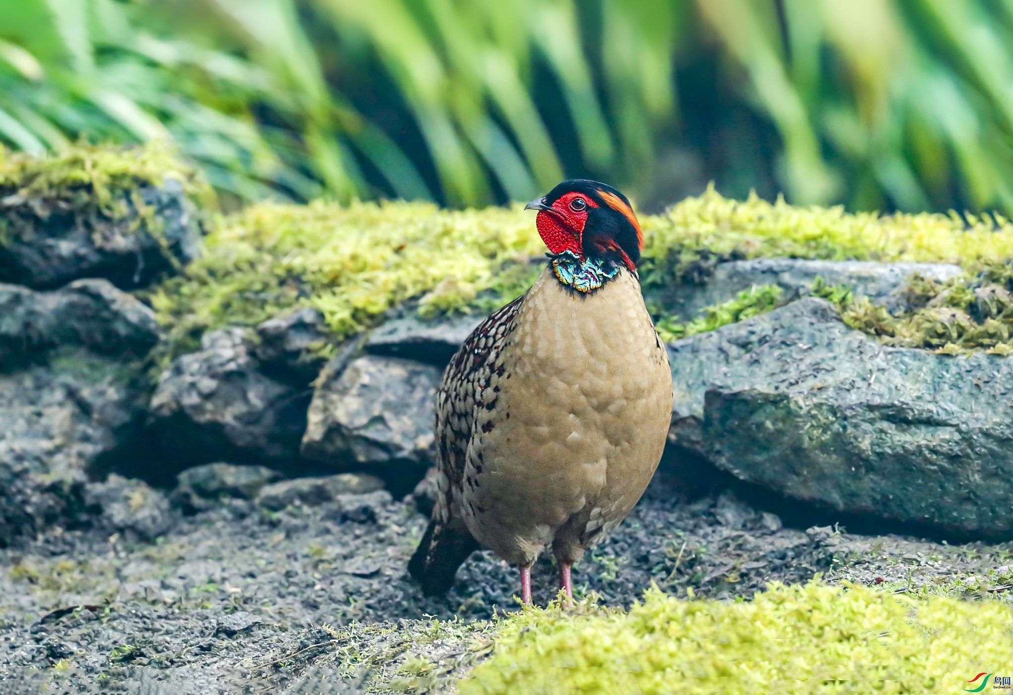 _U4I5327 ���� 3.jpg