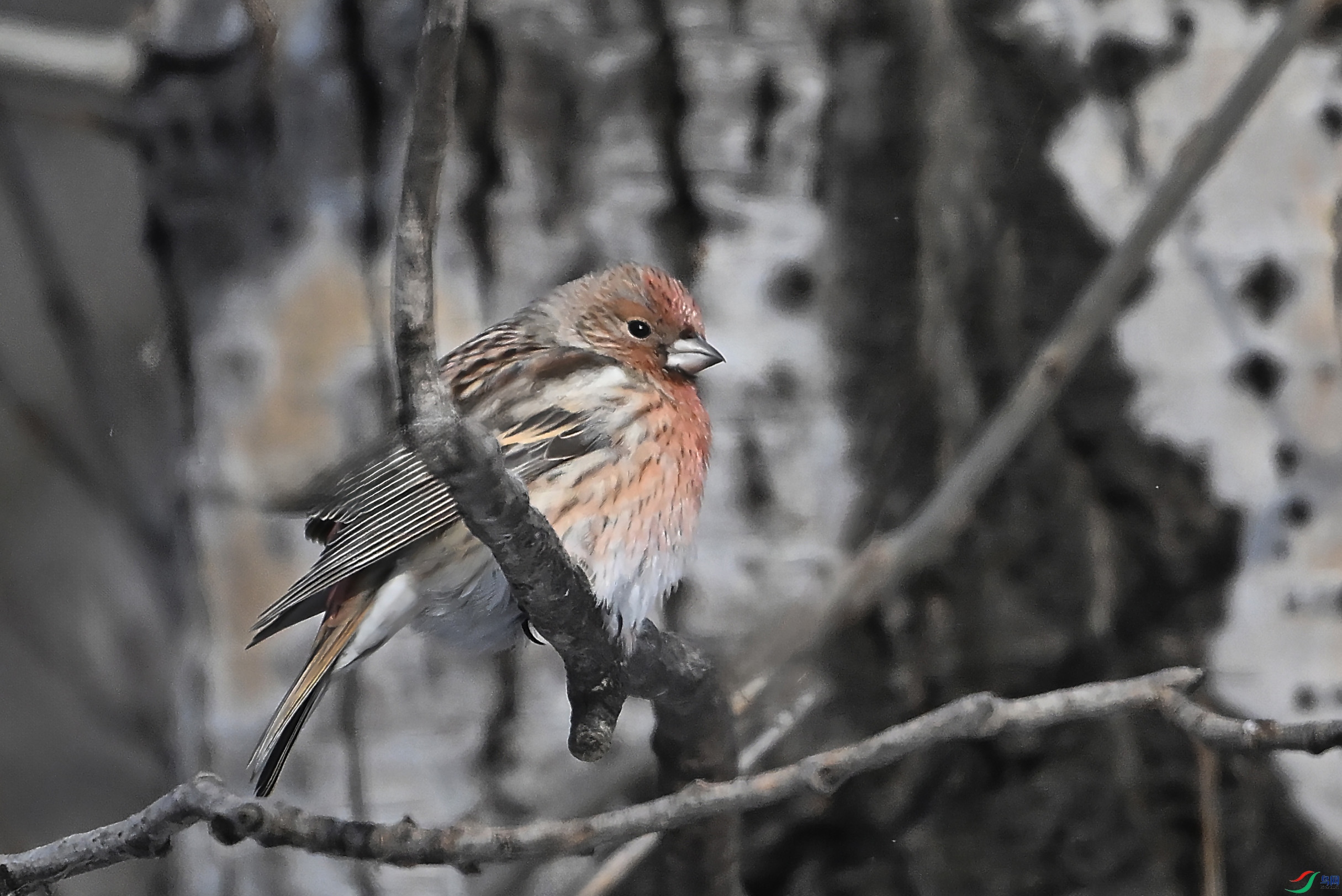 LWG_1055 ����.jpg