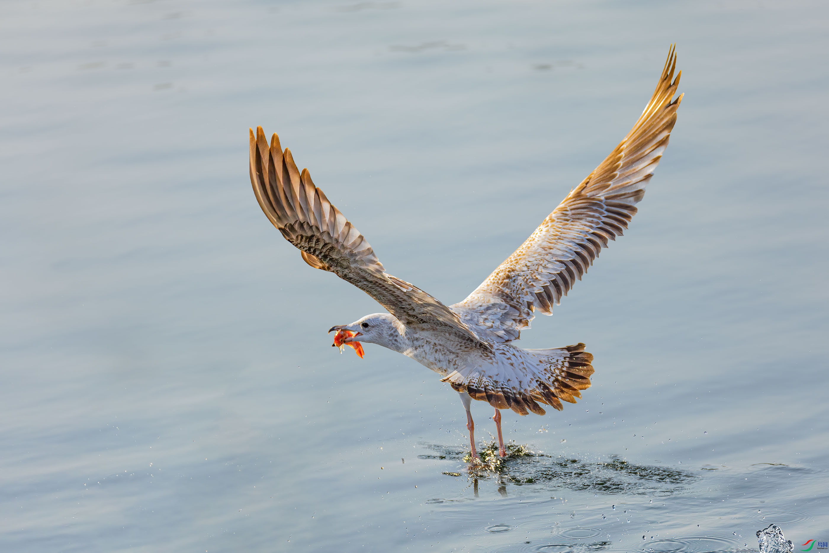 BK0A6417_29-02.jpg