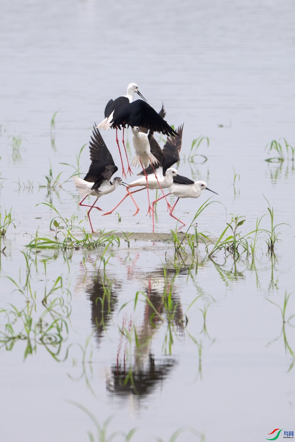 _DSC9642-����ǿ-NR ����.jpg