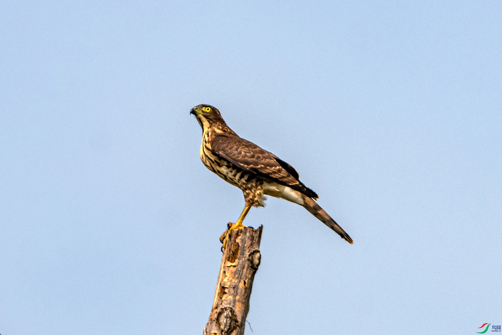 _AUU0357 ��ȸӥ(25.9.22).jpg