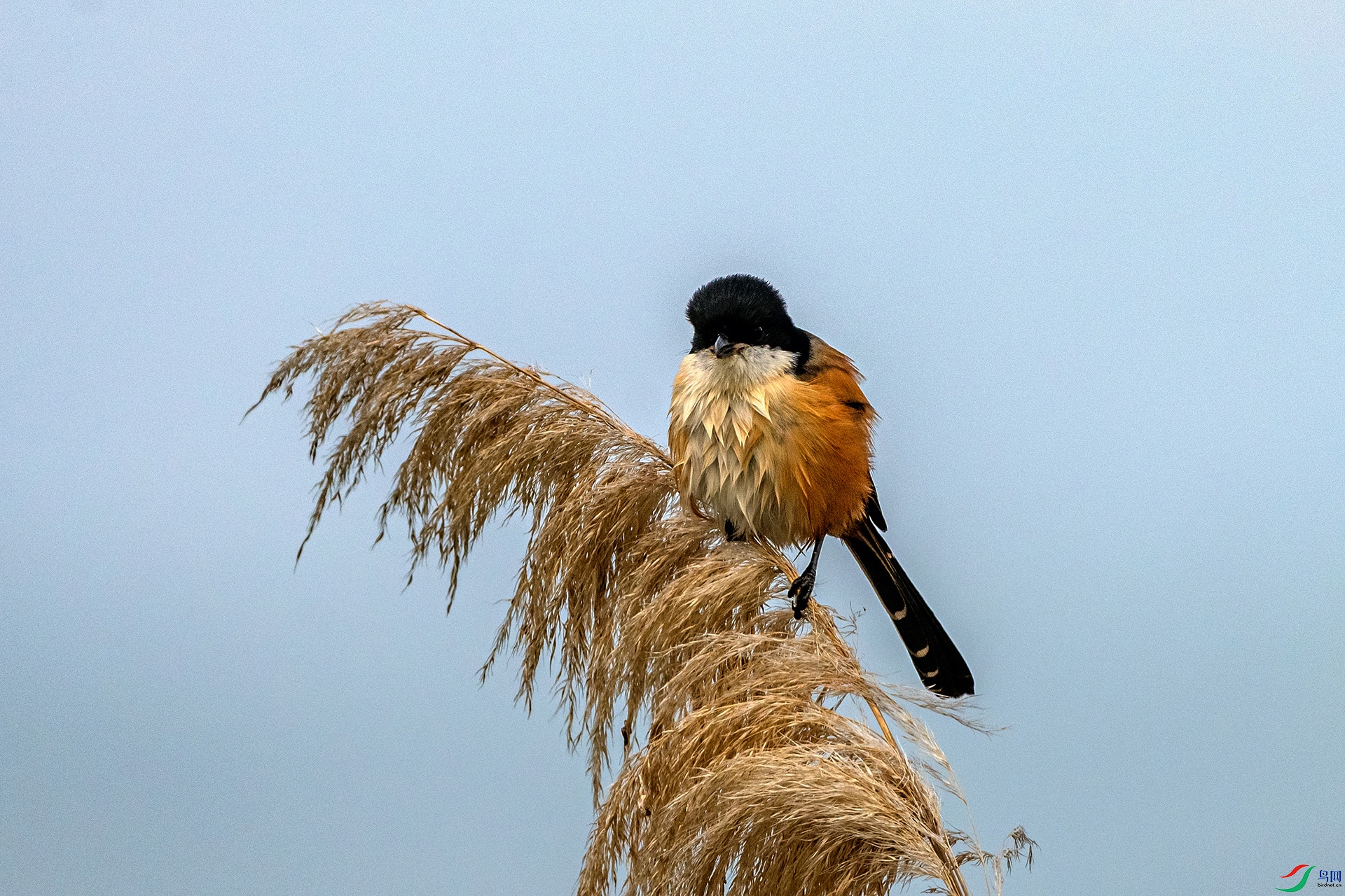 _AUU0659 �ر�����(25.11.22).jpg