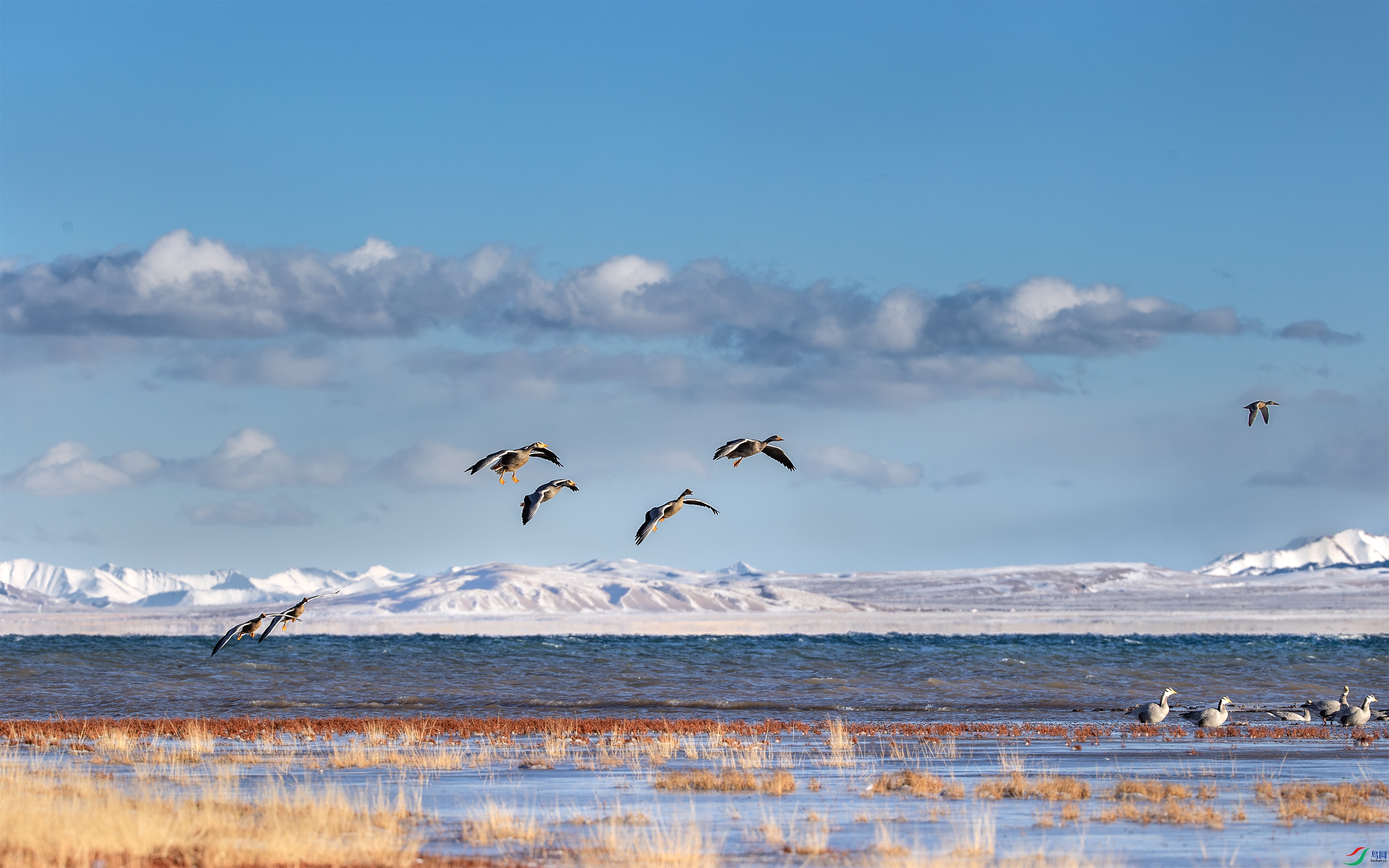 A15I9305 ����.jpg