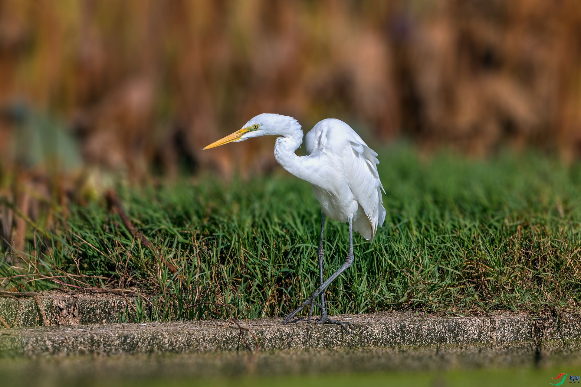 _AUU0735 �а���(25.11.23).jpg