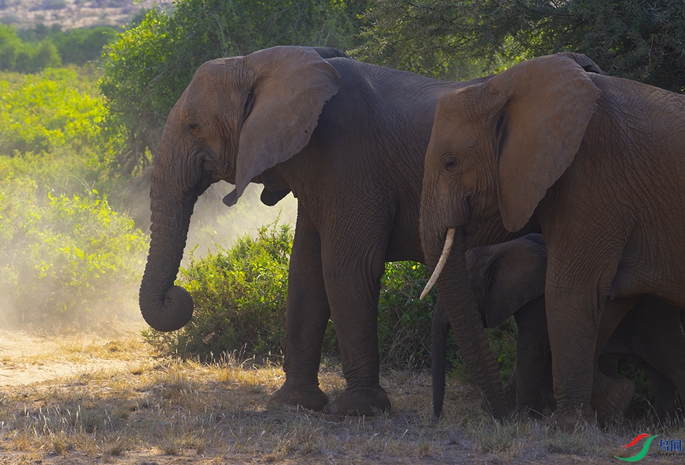 ���޴��� (27).jpg