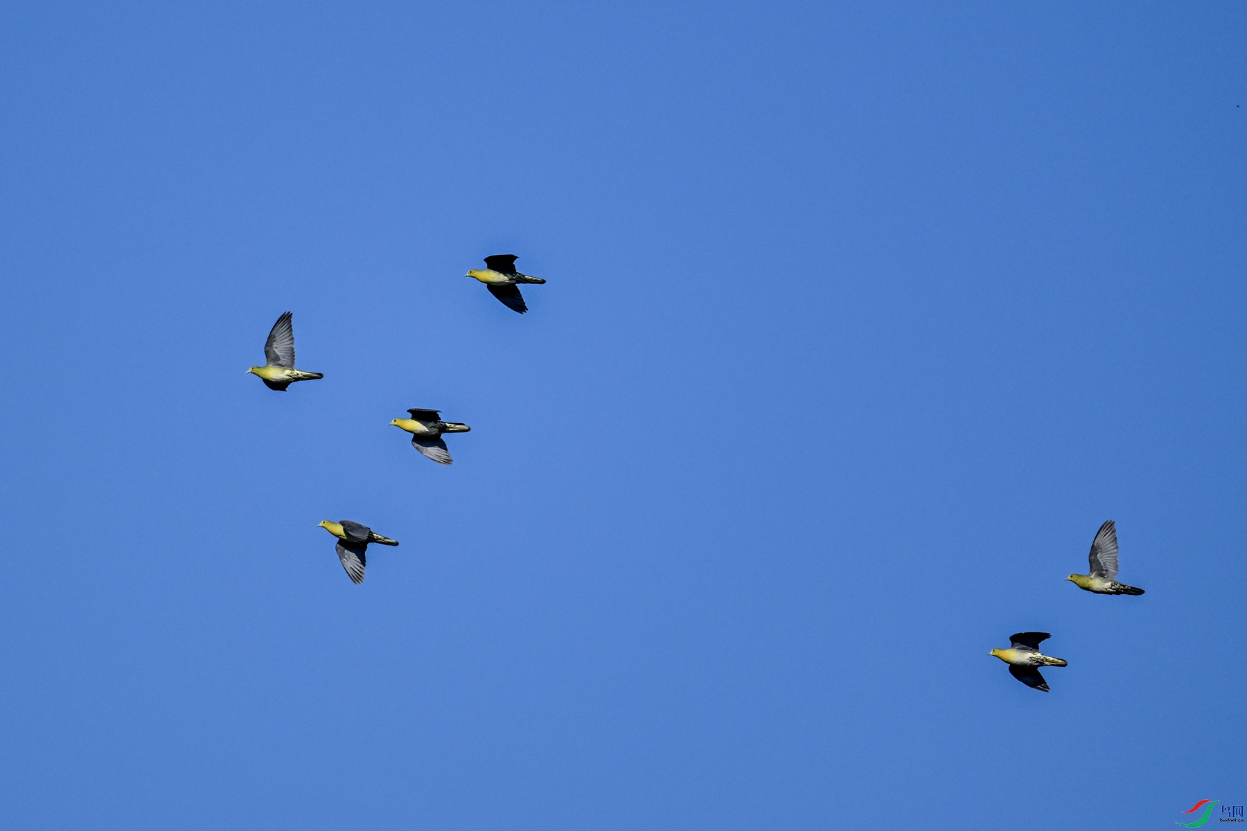 DSC_6331.JPG
