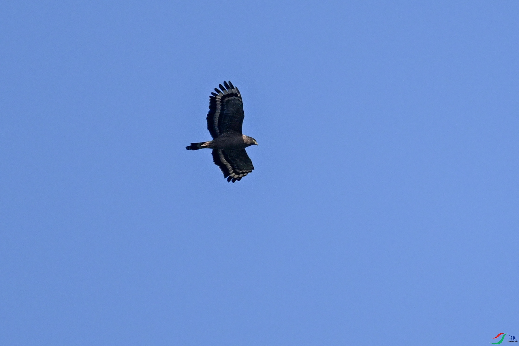 DSC_6273.JPG
