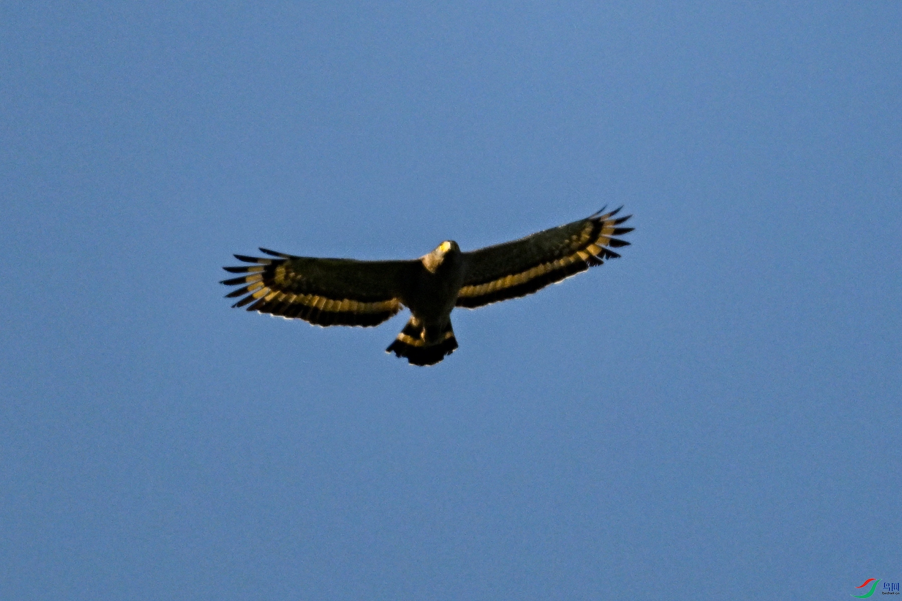 DSC_6286.JPG