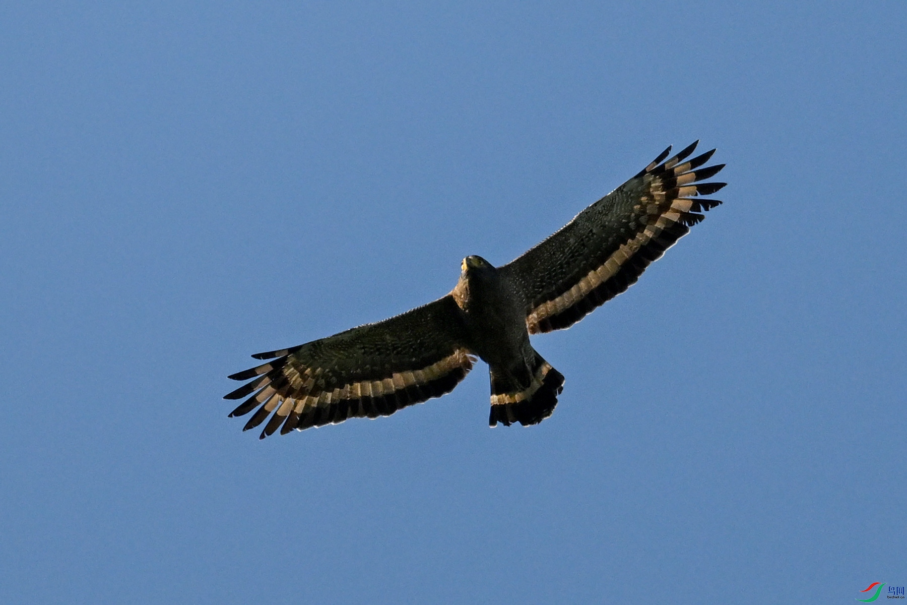 DSC_6290.JPG