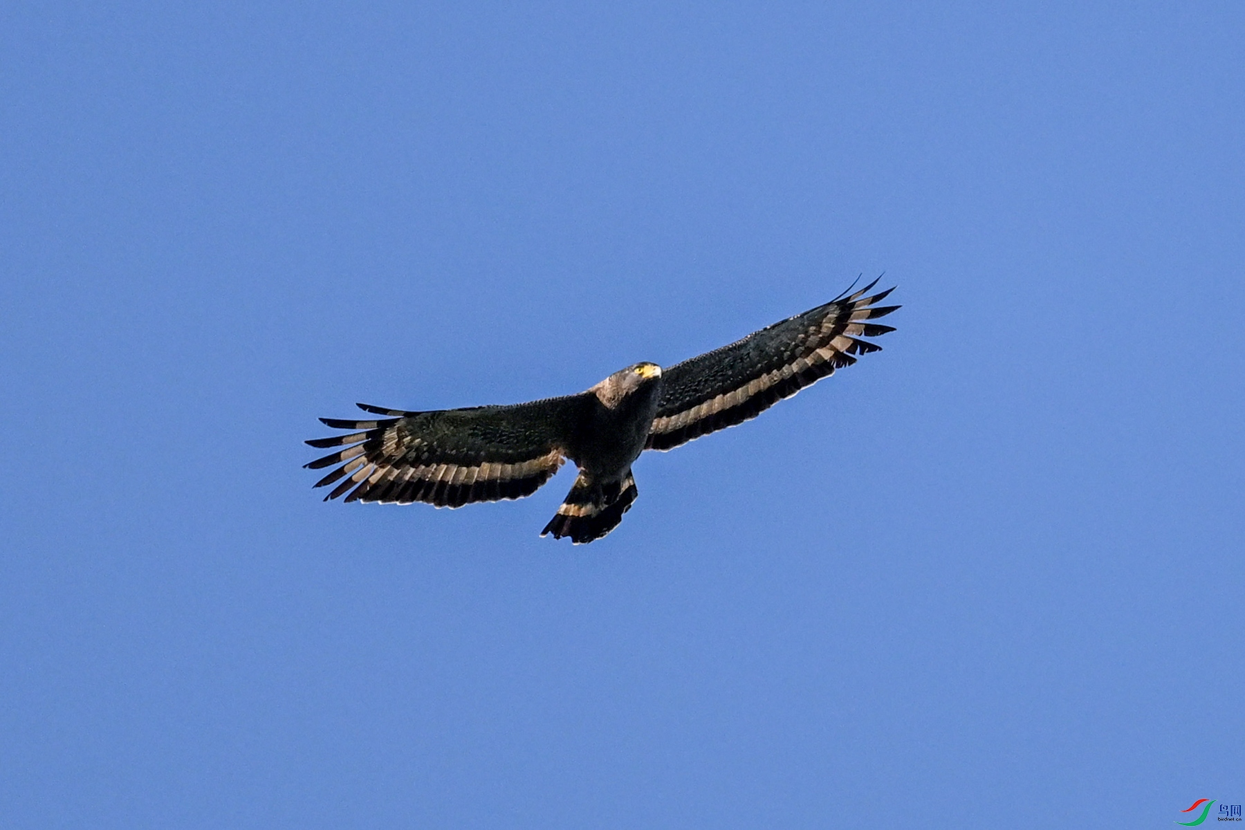 DSC_6294.JPG