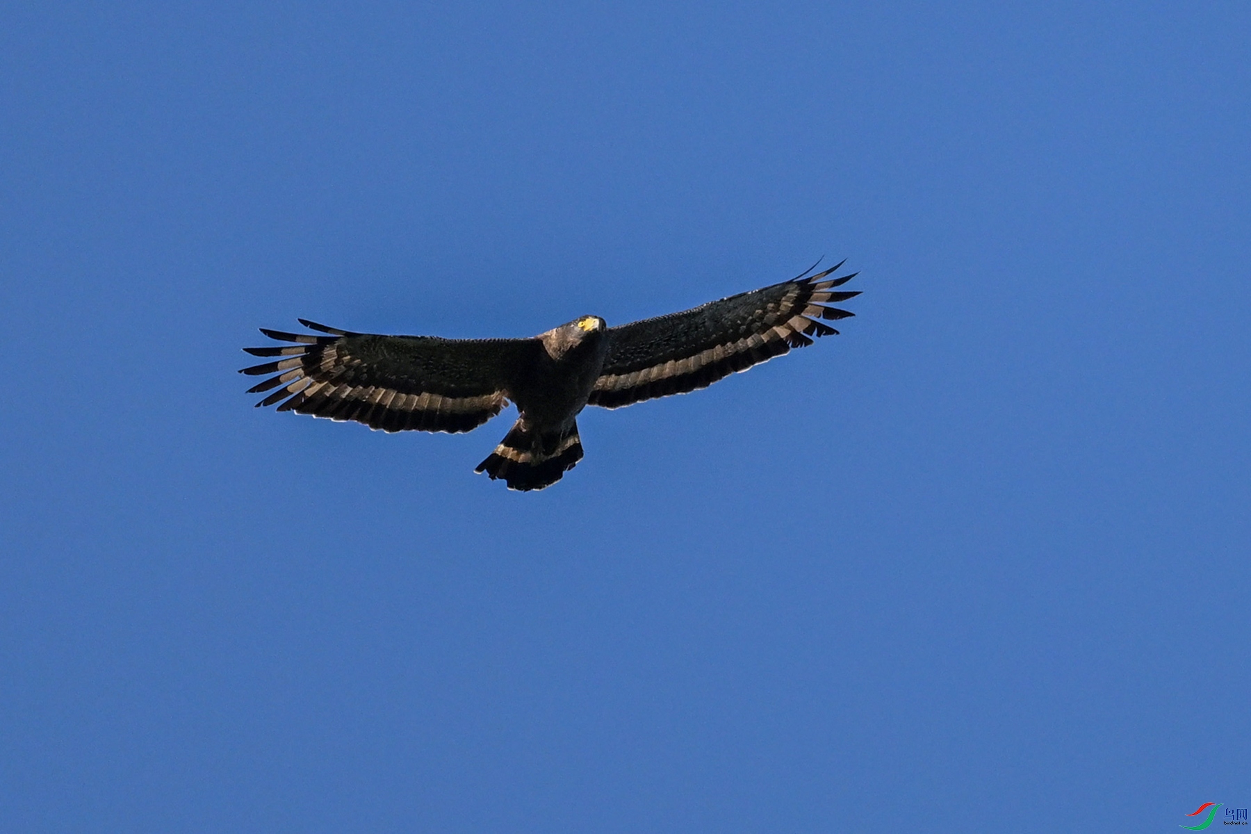 DSC_6296.JPG
