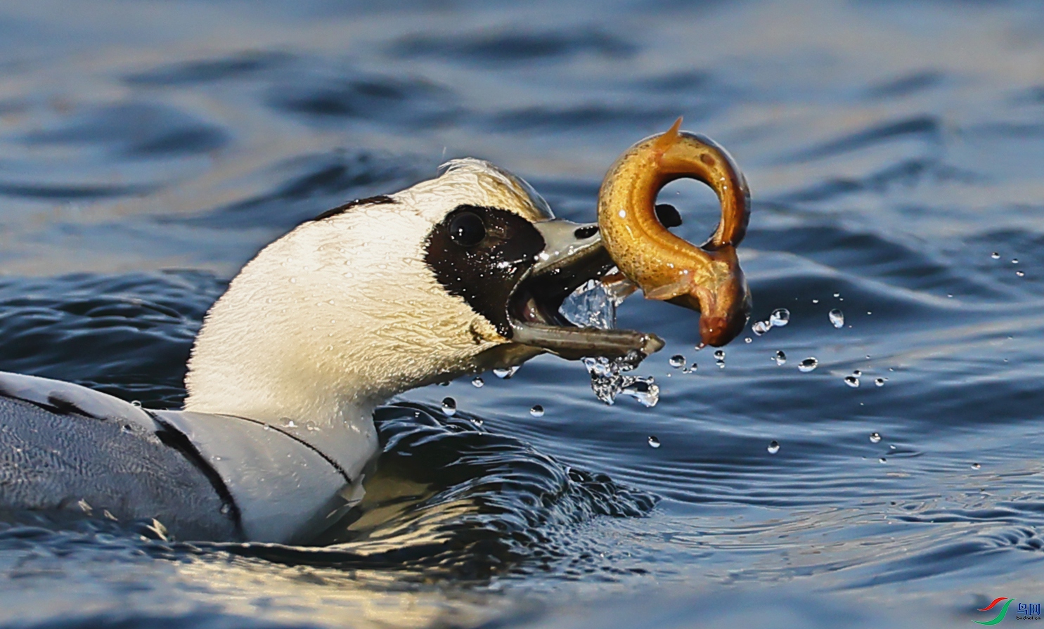 4N2A2982 ����.jpg