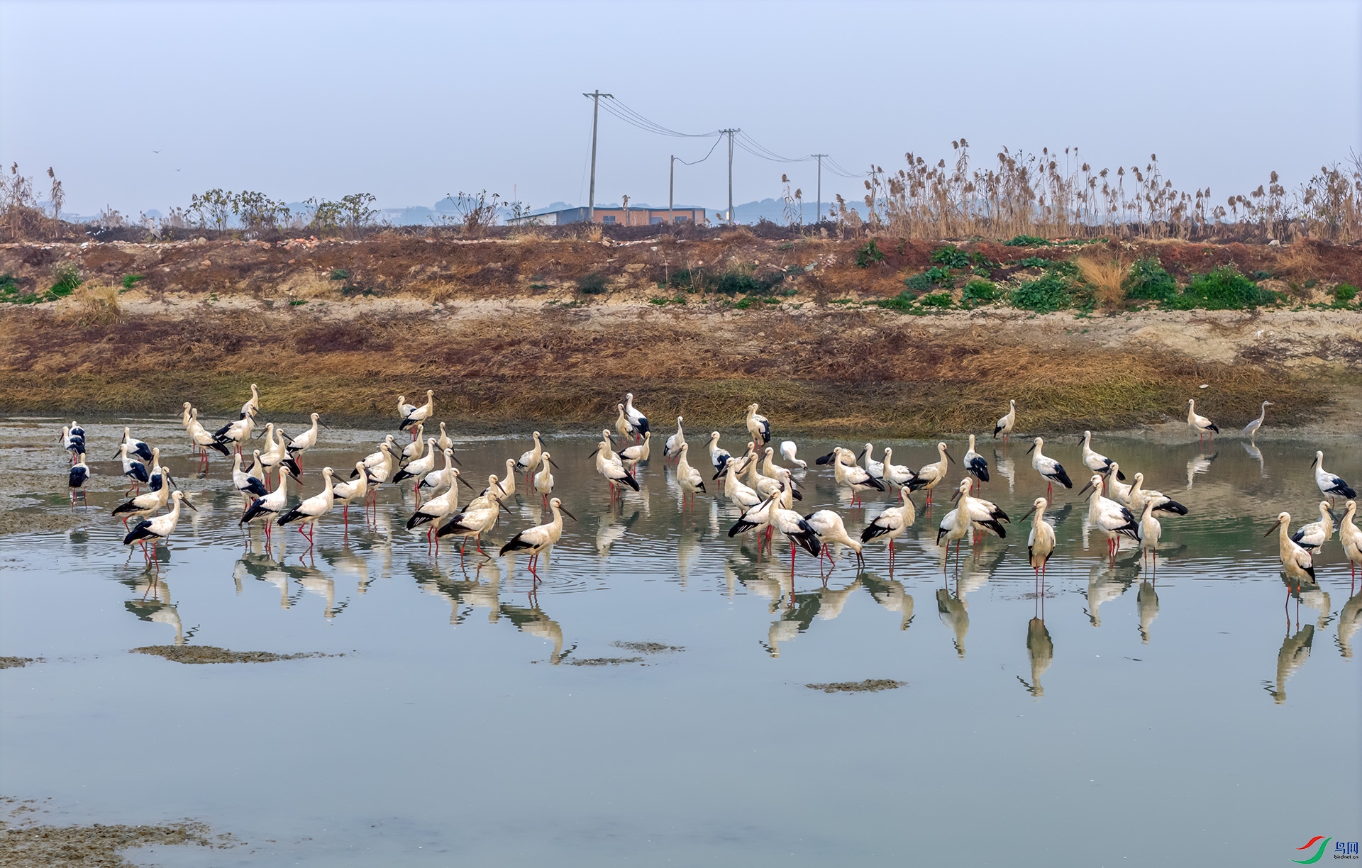 DJI_20260116080941_0029_D ����------33  .jpg