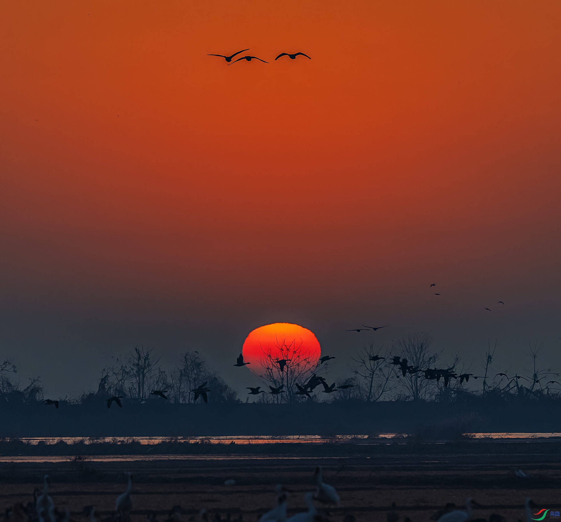 ӭ�ӳ���