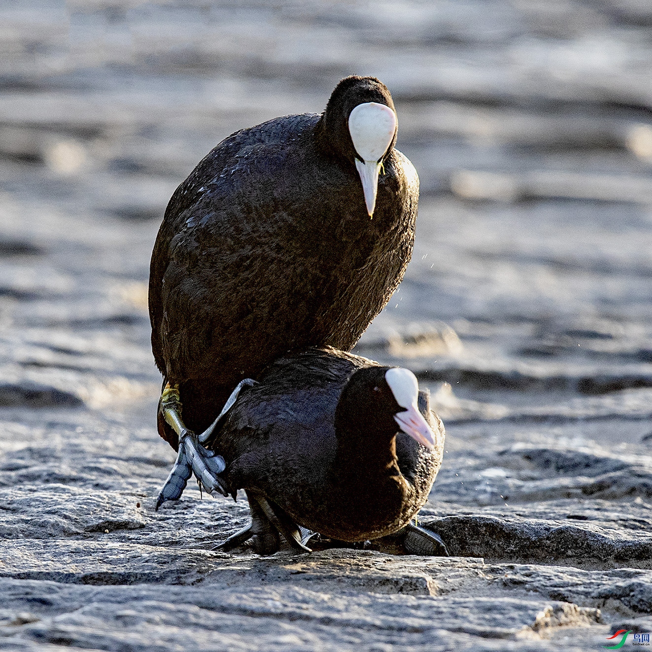 _90I5759 ���� 2.jpg