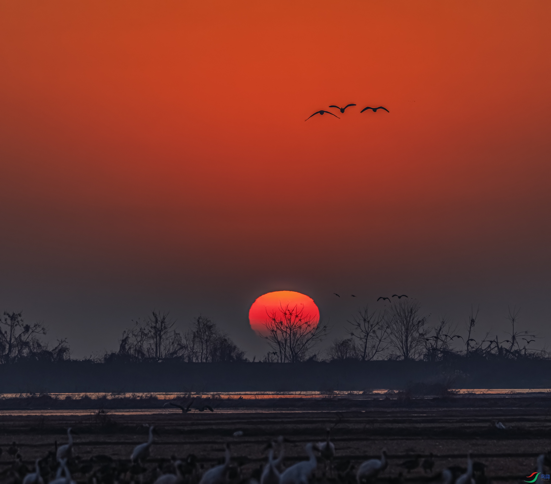 ���ն���