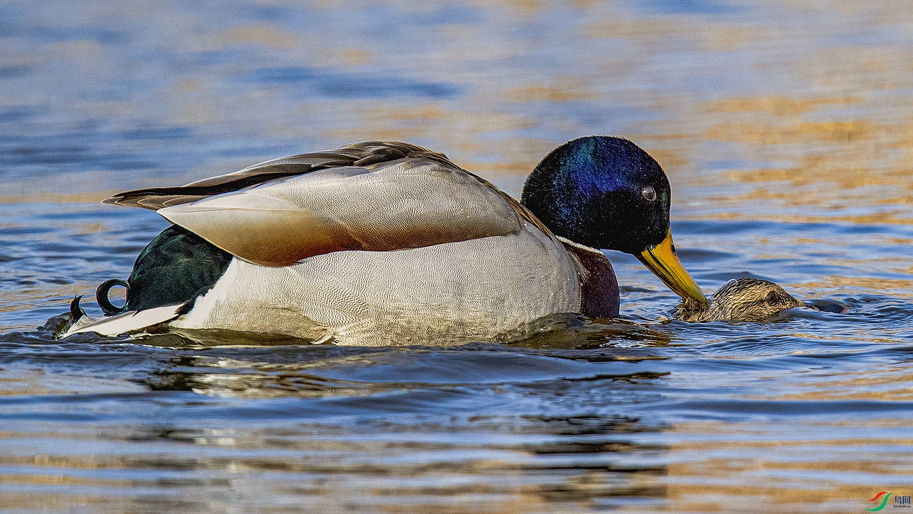 _90I0218 ���� 2.jpg