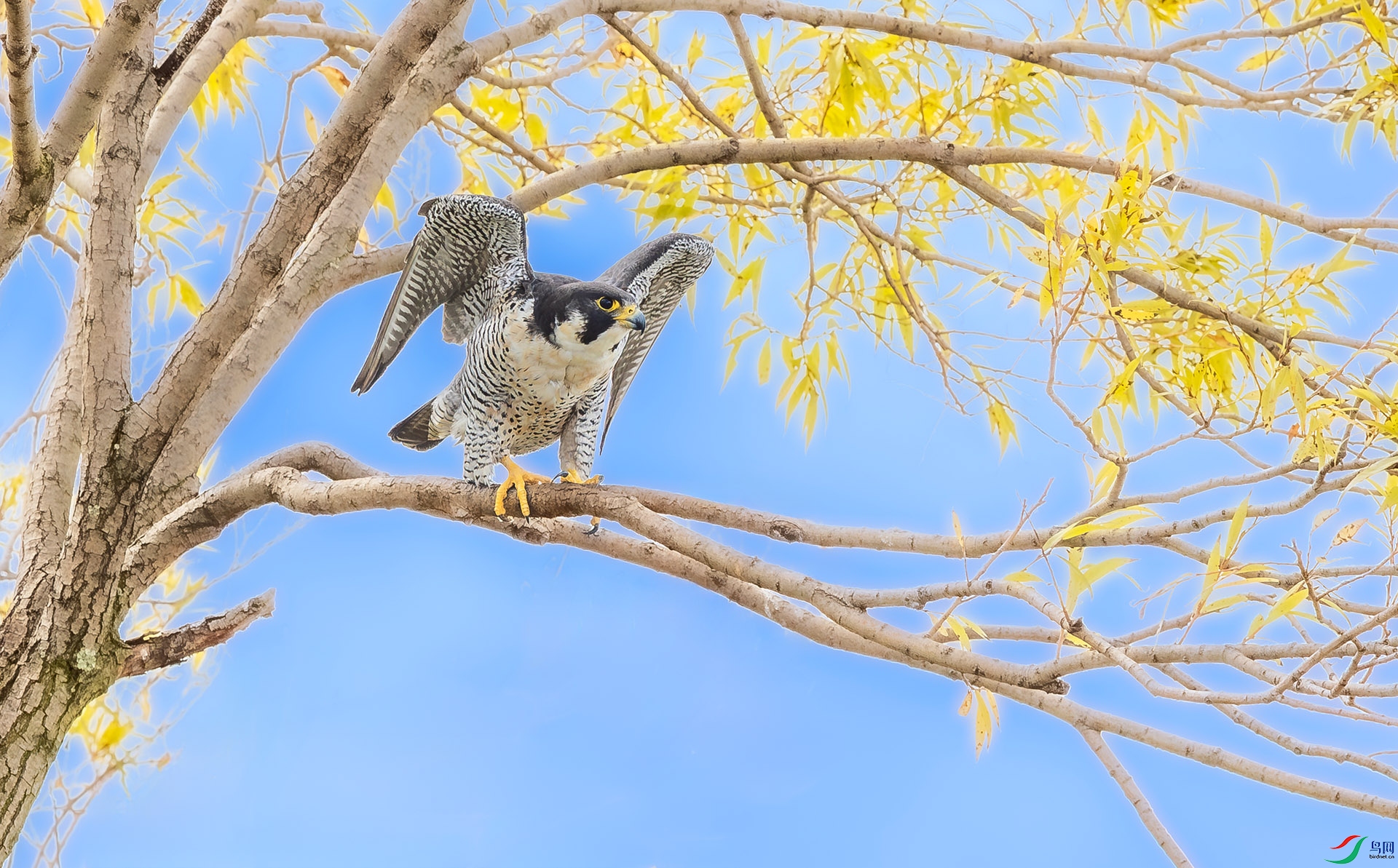 _25_8192 ����.jpg