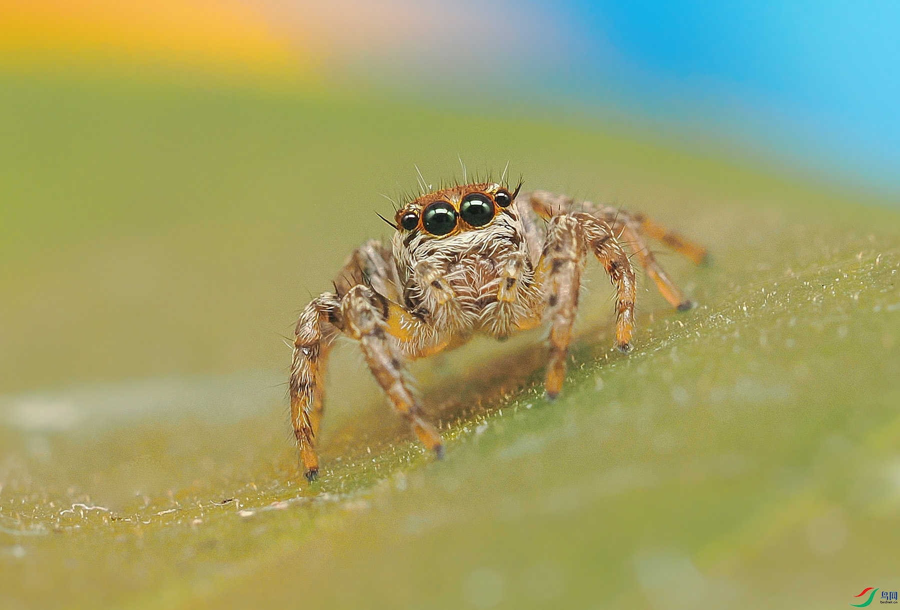 P9120076�� ����.jpg