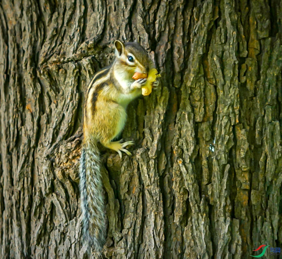 DSC01798_��ͼ�� ����.jpg