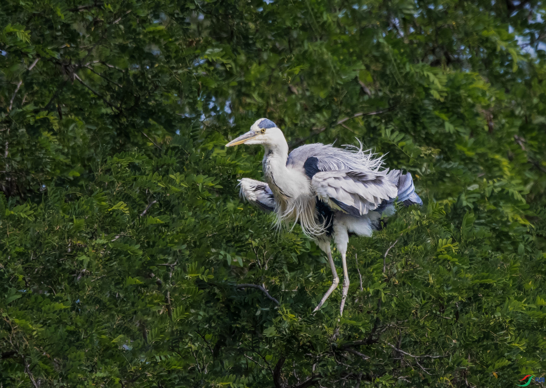 DSC_4430_��ͼ�� ����.jpg