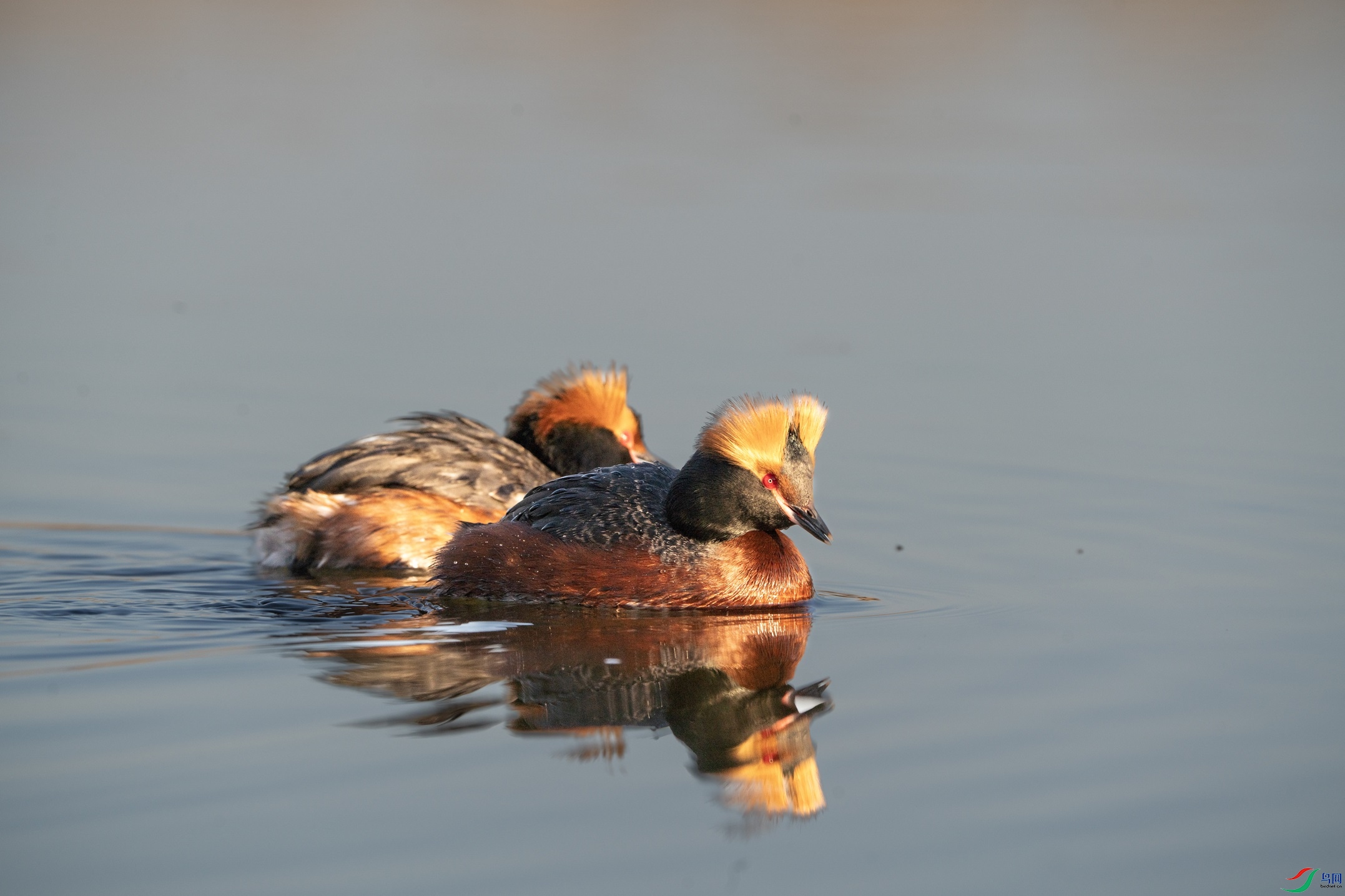 DSC04058 ����.jpg