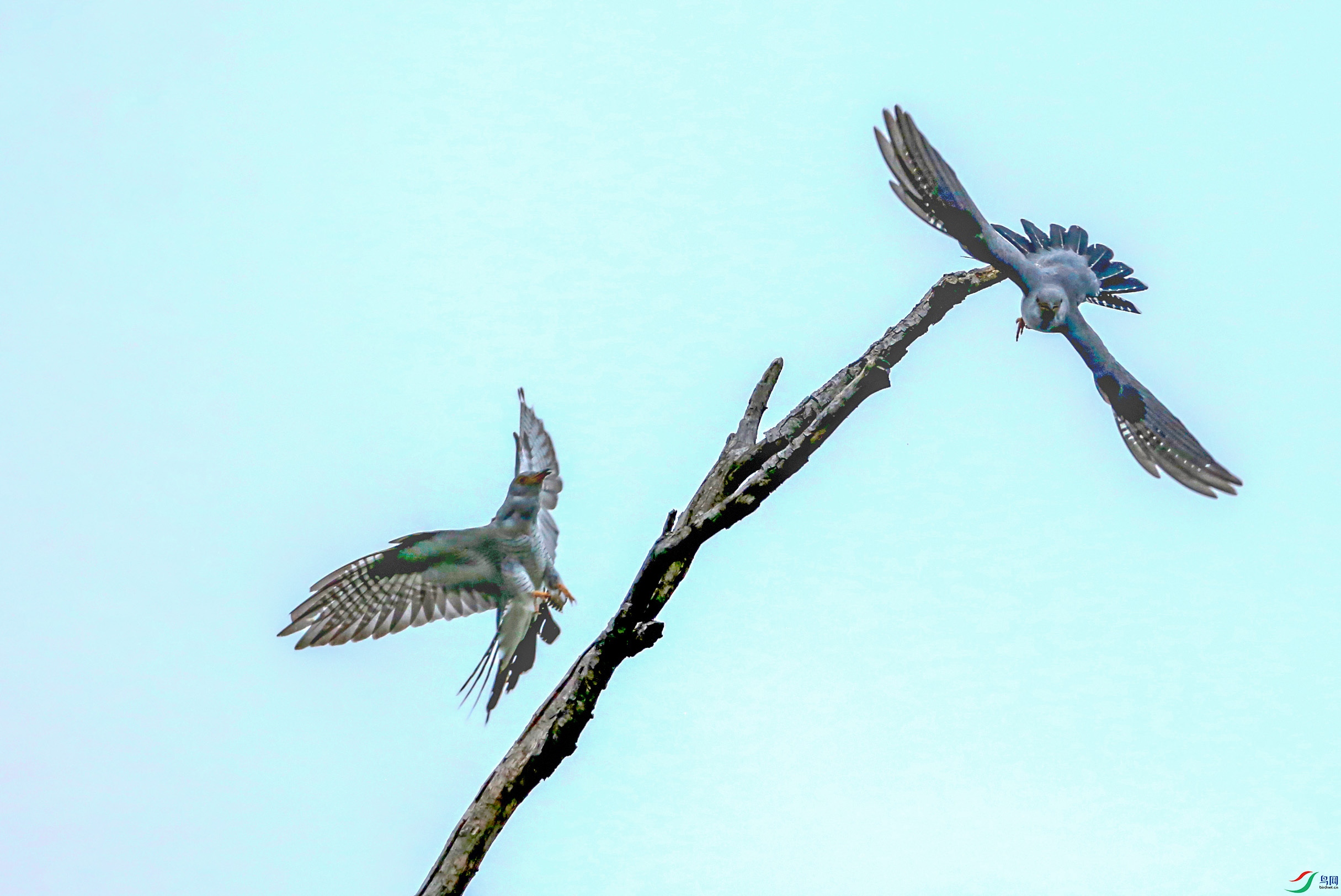 673A3581 ���� 2.jpg