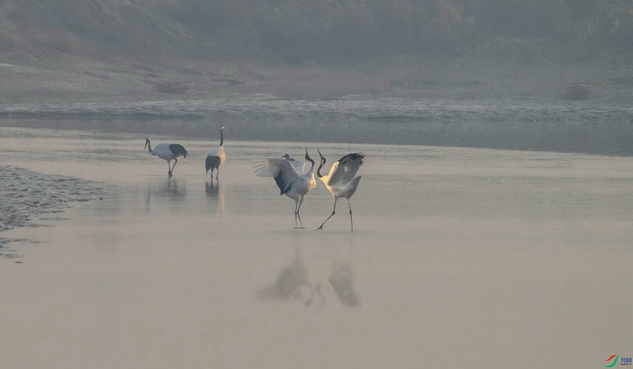 DSC05421_����.jpg