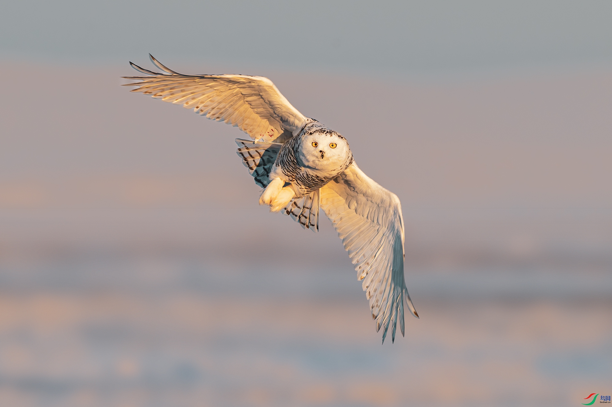 _DSC3532 ����С.jpg