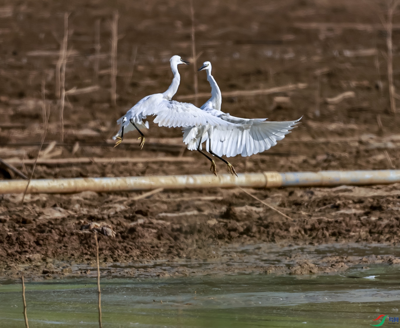 0J2A8145-0.jpg