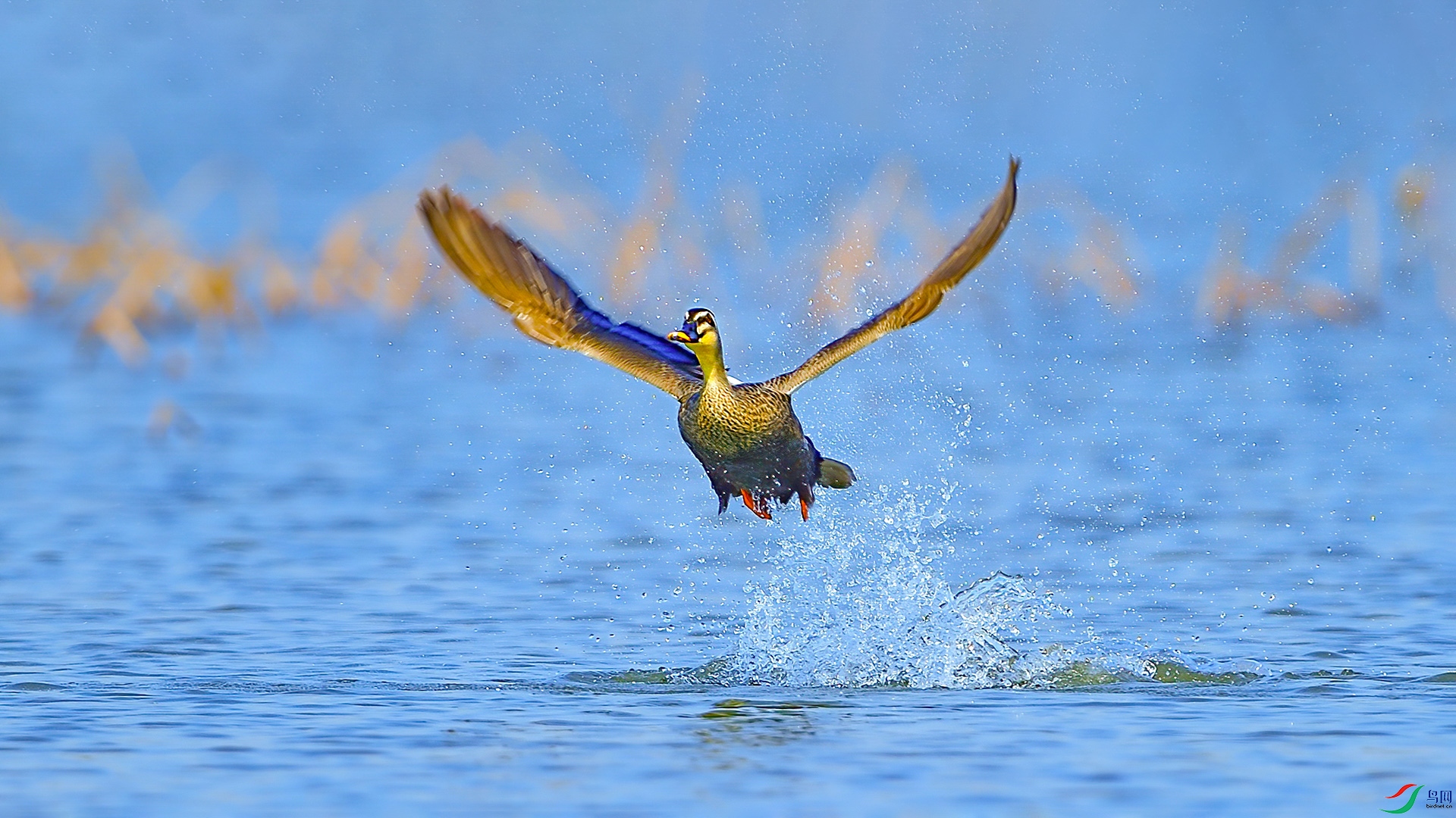 XIA_9325 ����.jpg