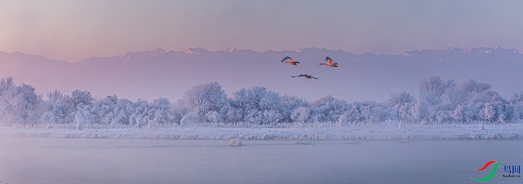 xjynR3241226 (728)_DxO.jpg