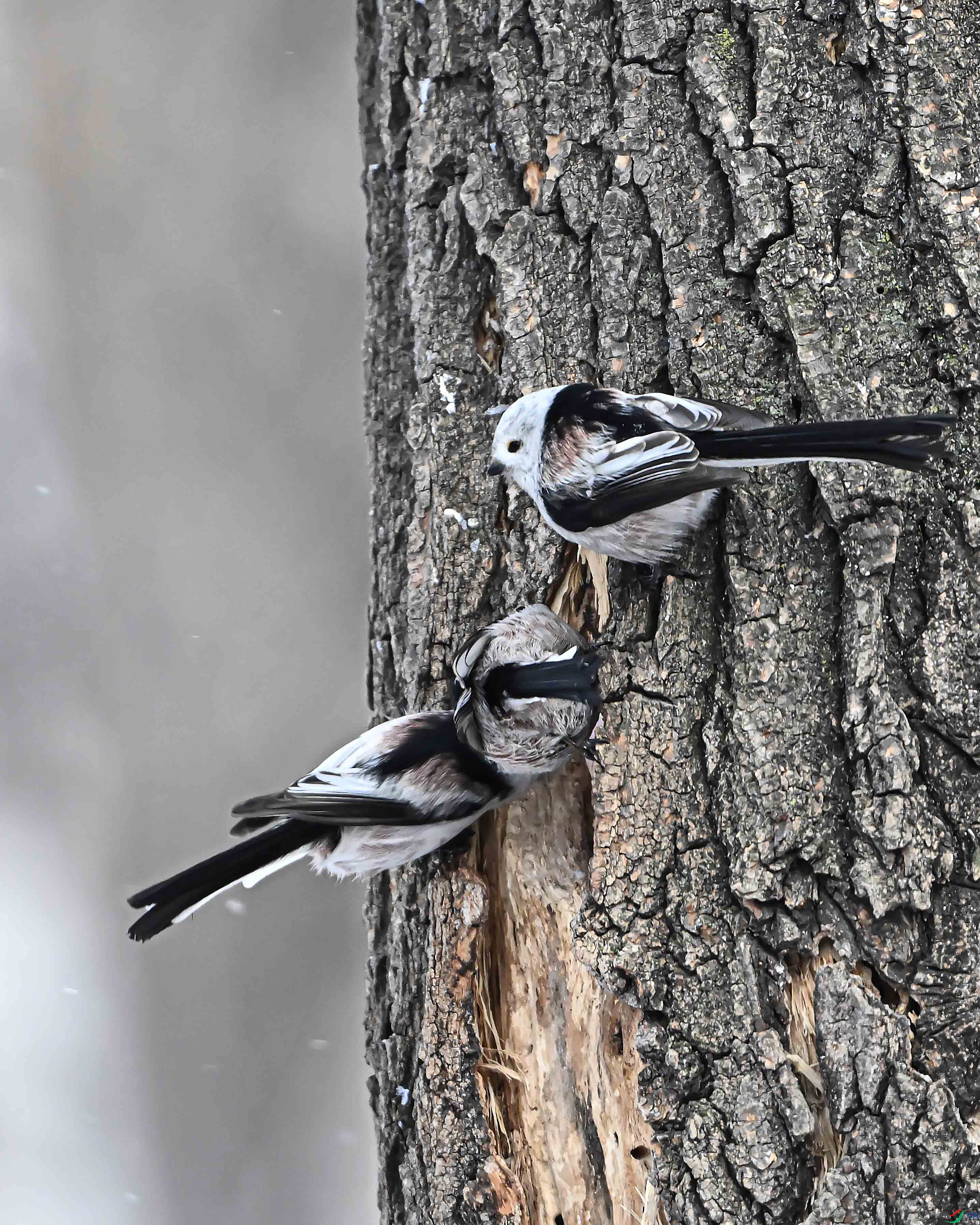 LWG_1643 ����.jpg