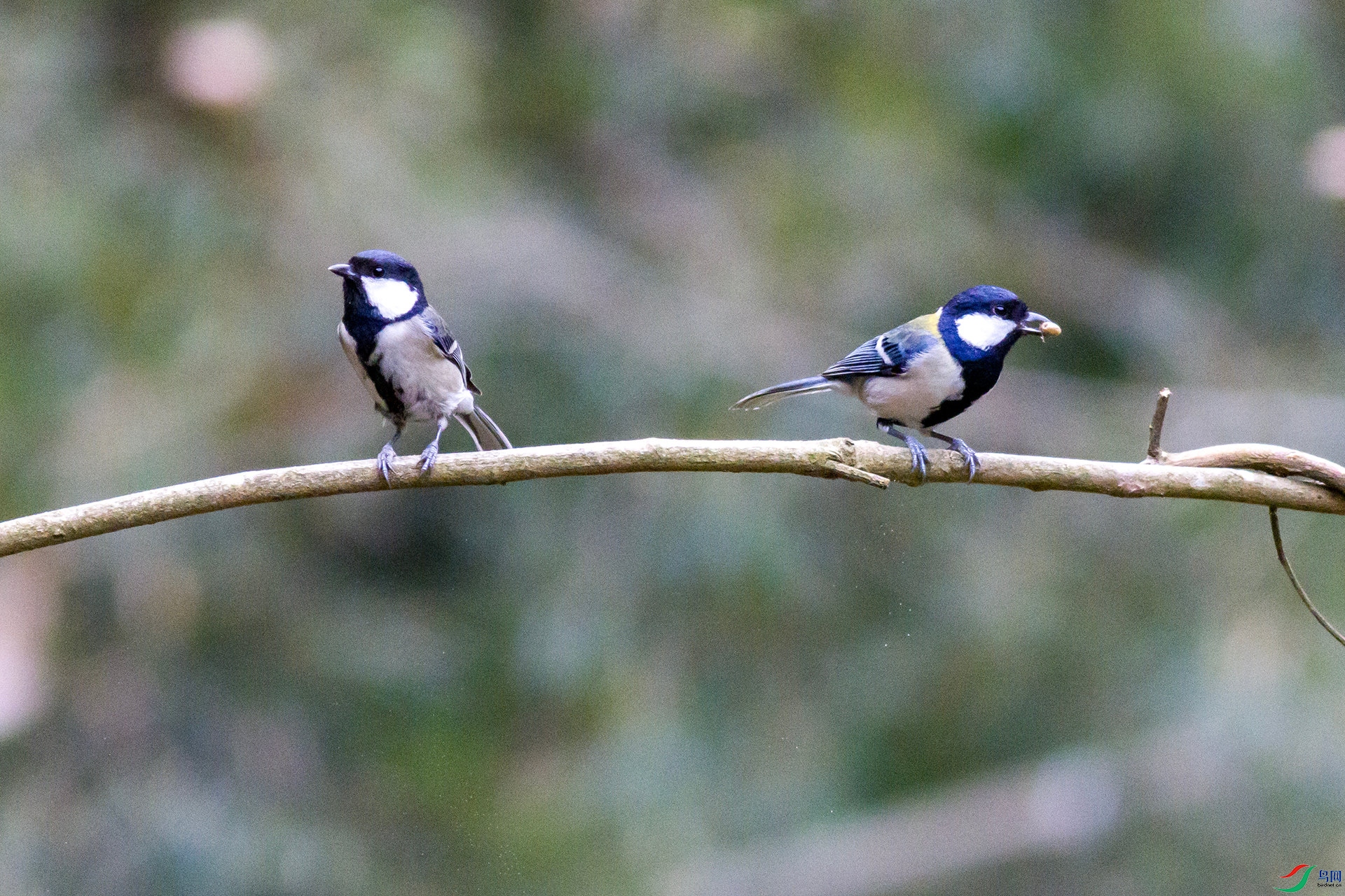 2H6A0033 ����_����.jpg