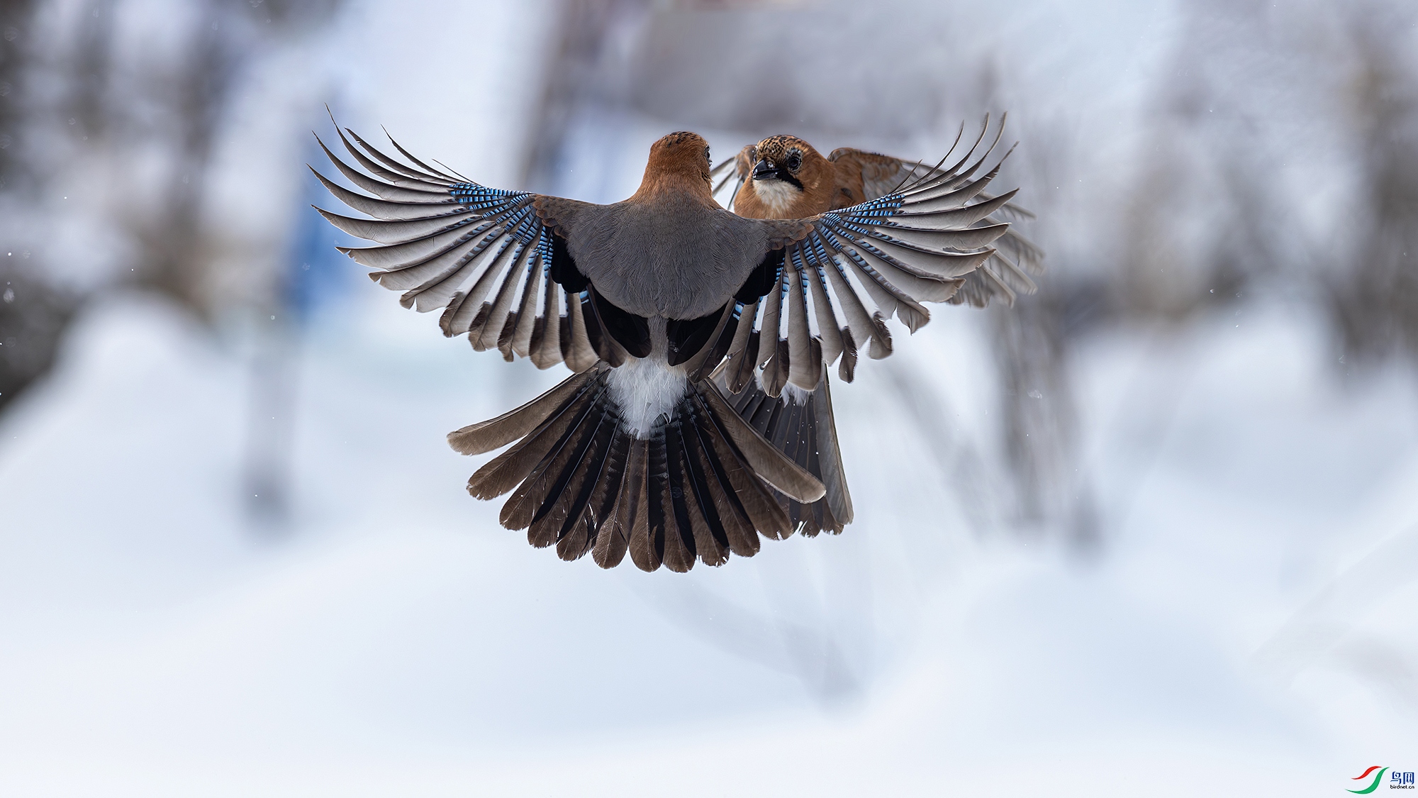 _05A4947.jpg