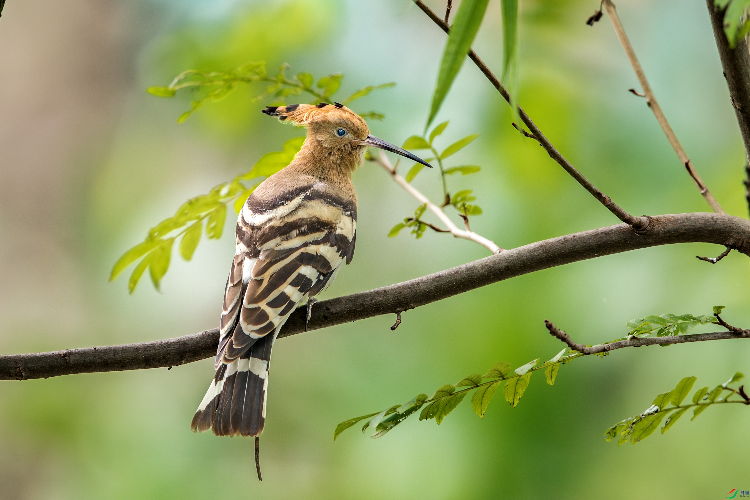 AY8I8458 ����.jpg