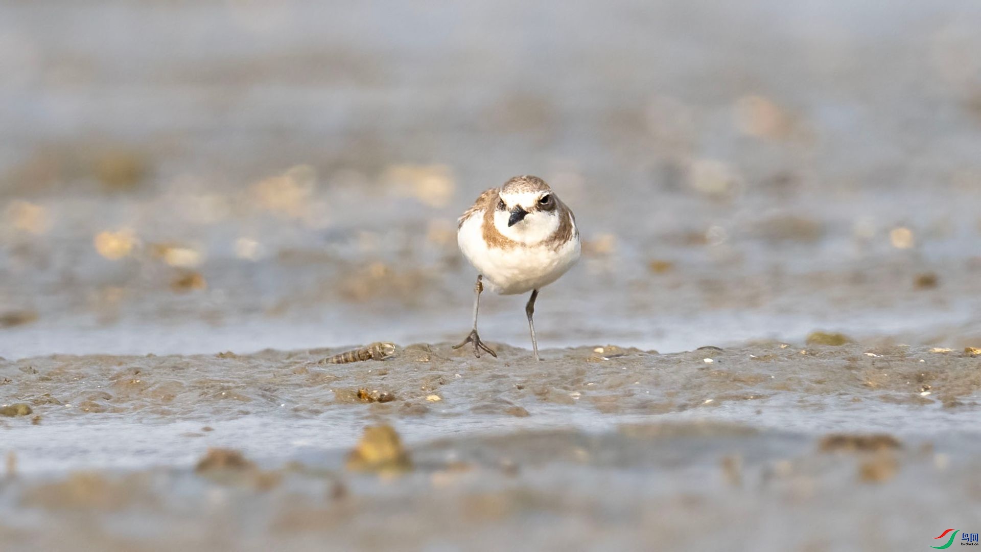 _DSC7573 ����.jpg