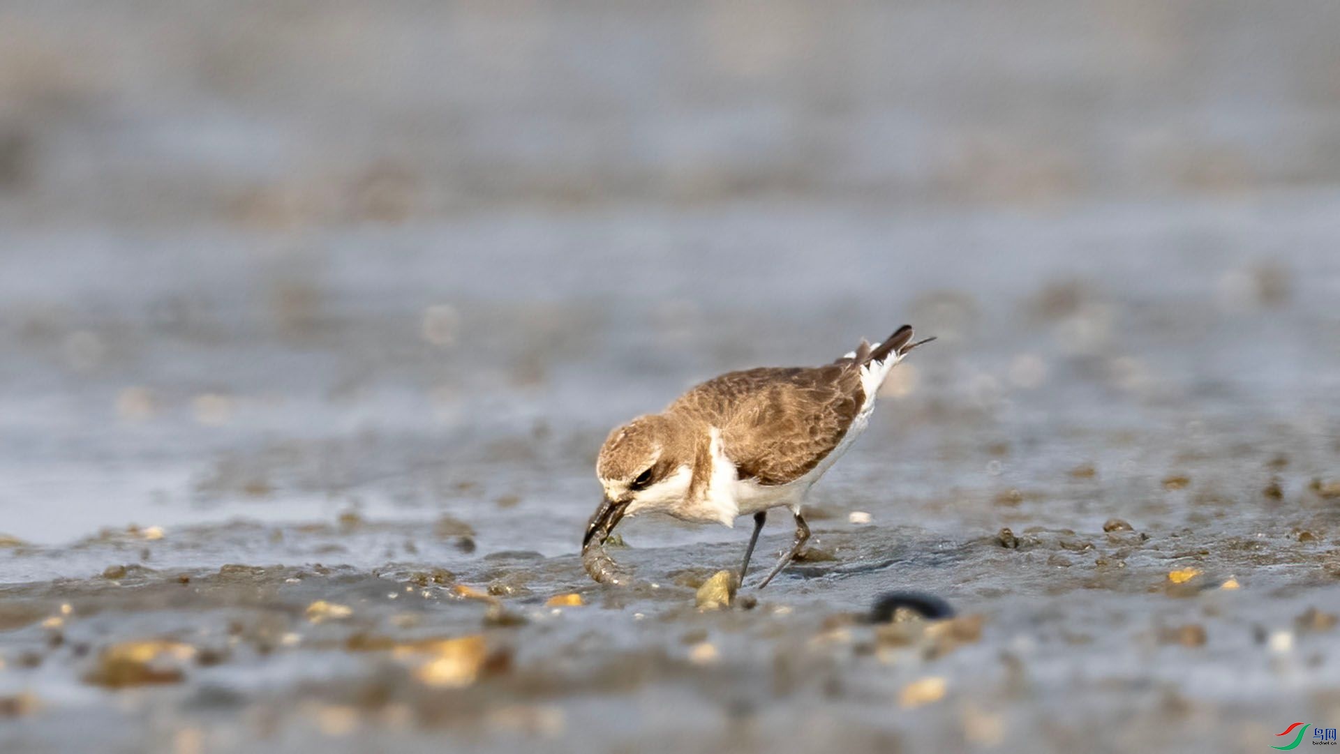 _DSC7617 ����.jpg