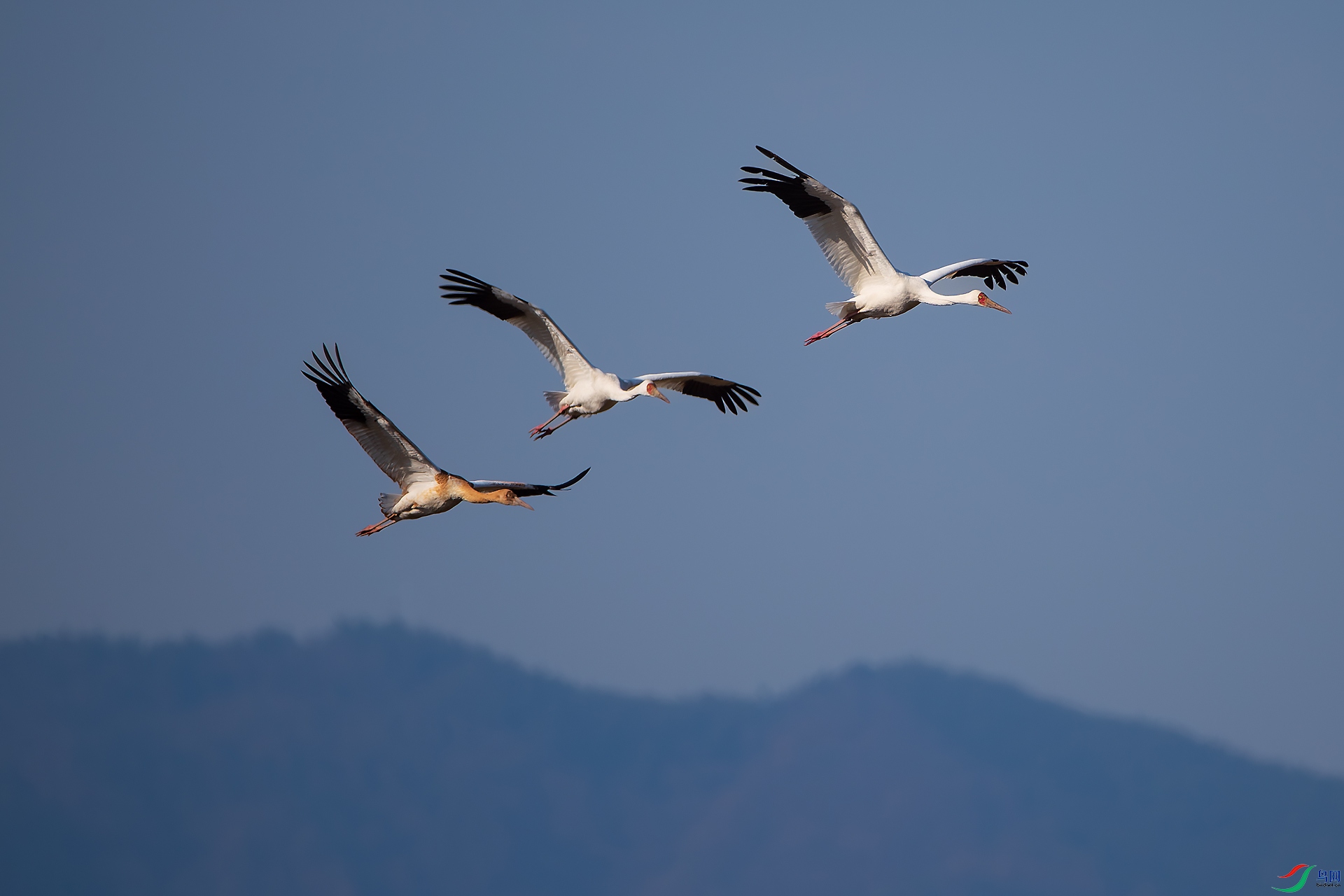 AS4I6407 ����.jpg