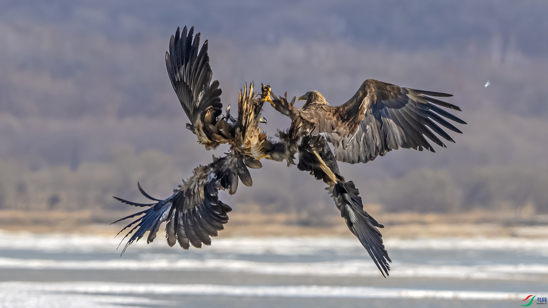 DSC_4830 ����.jpg