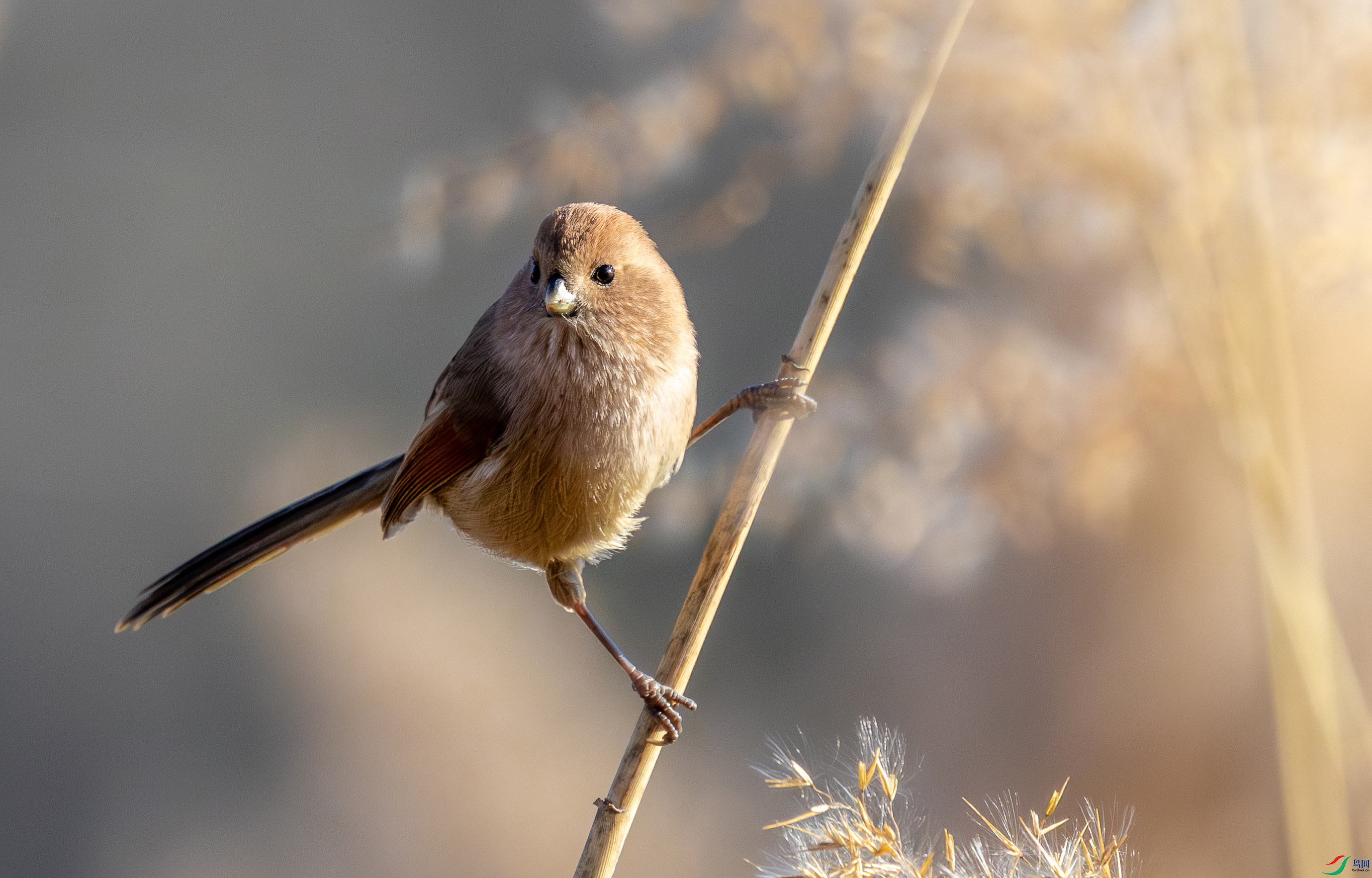 5N2A6958-2 ���� 2.jpg