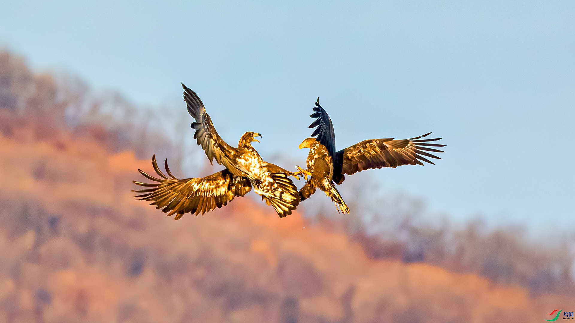 398A9657 ����.jpg