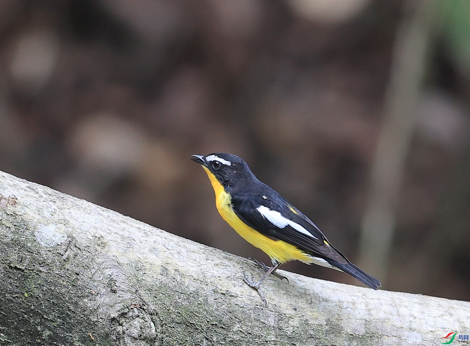 AK1I6691�� ��2.JPG