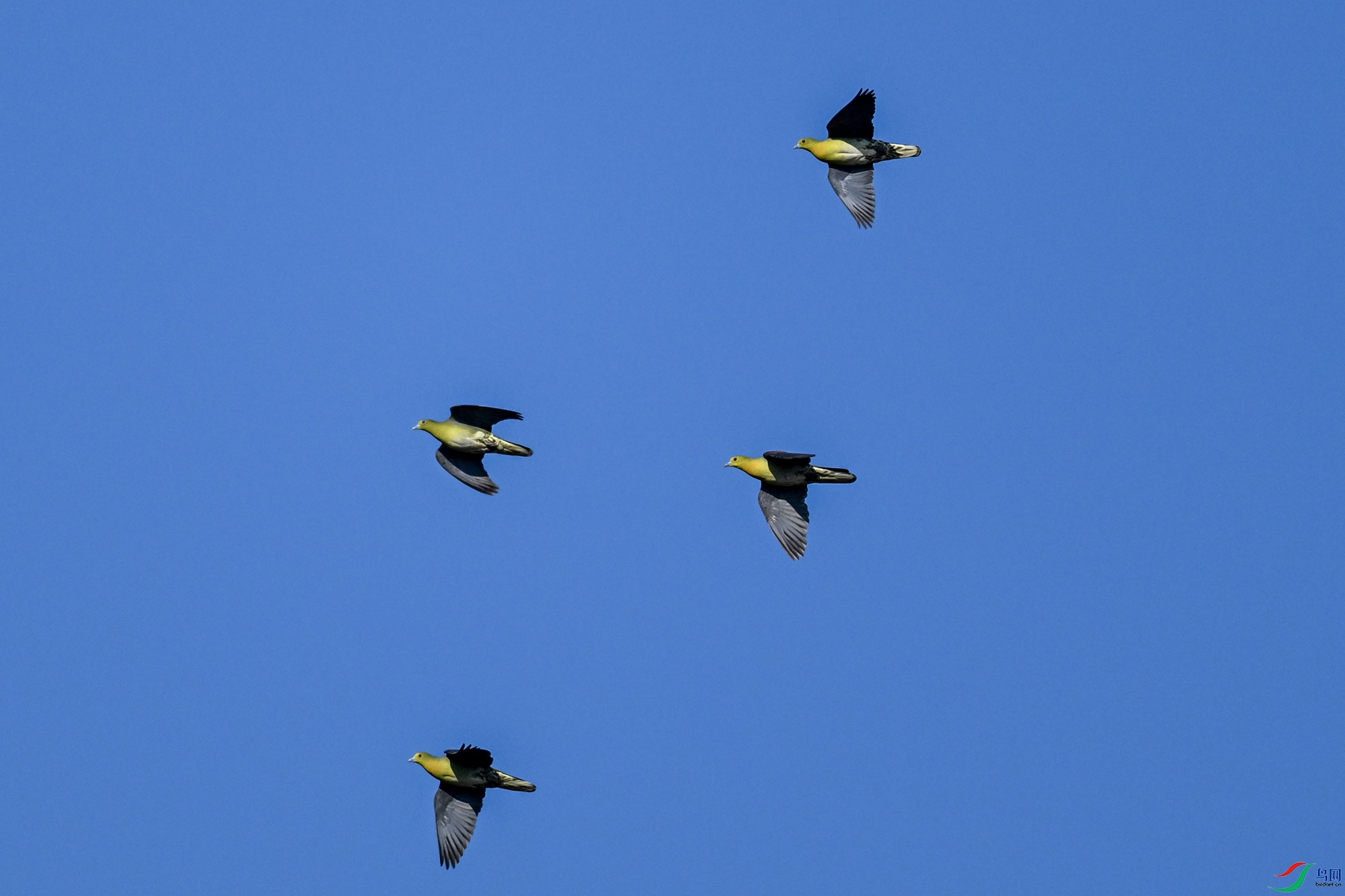 DSC_6325.JPG