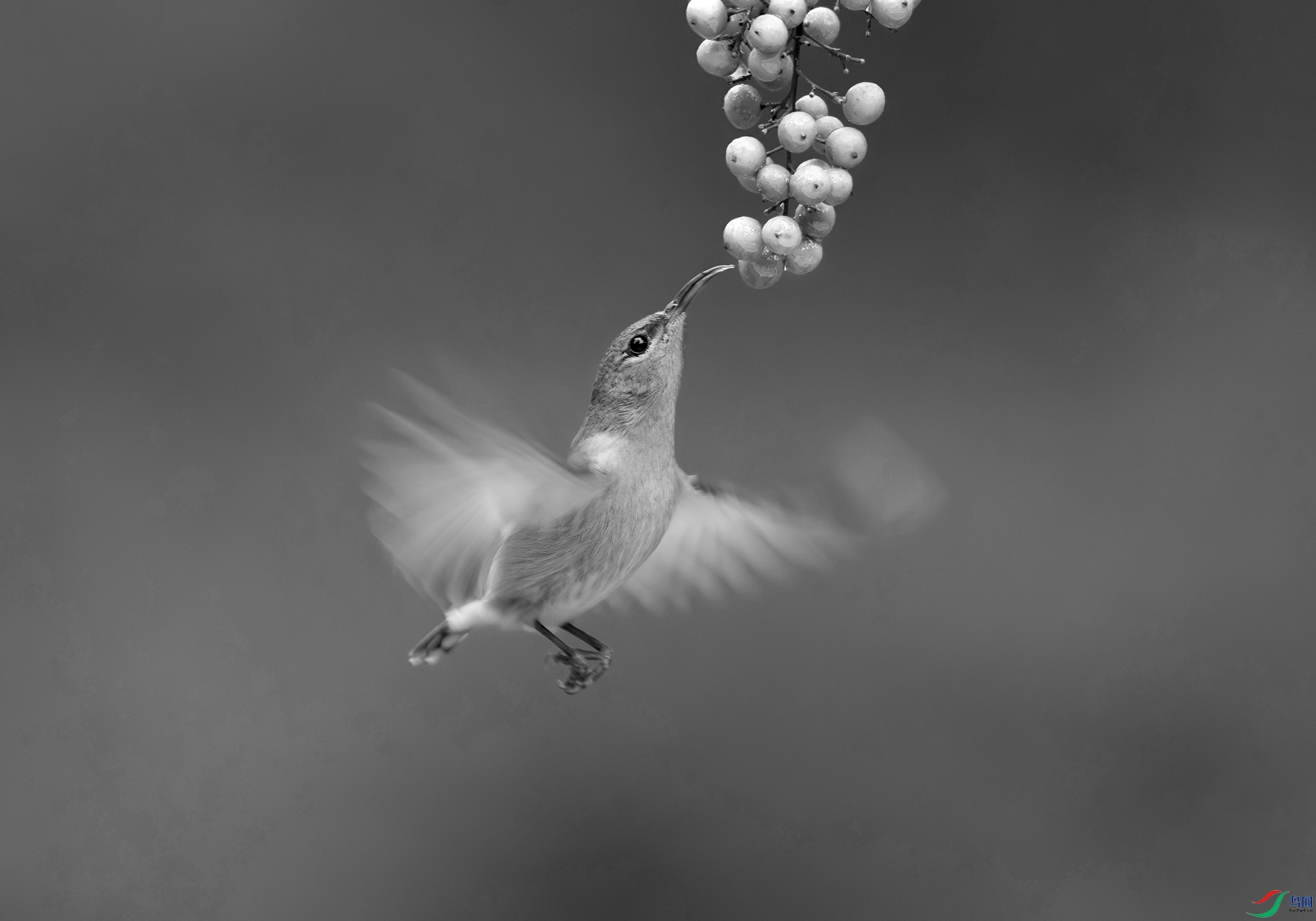 DSC02765 ����-_����.jpg