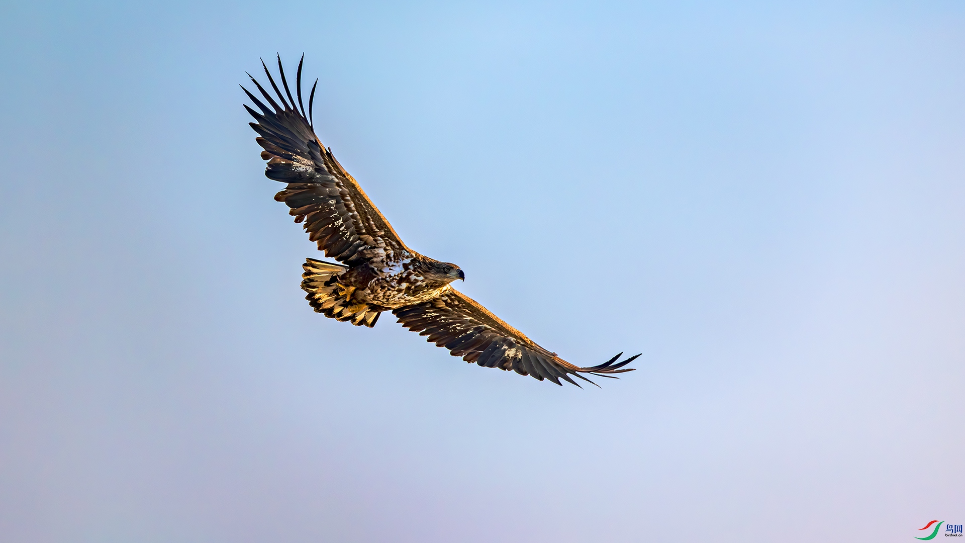 398A6205 ����.jpg