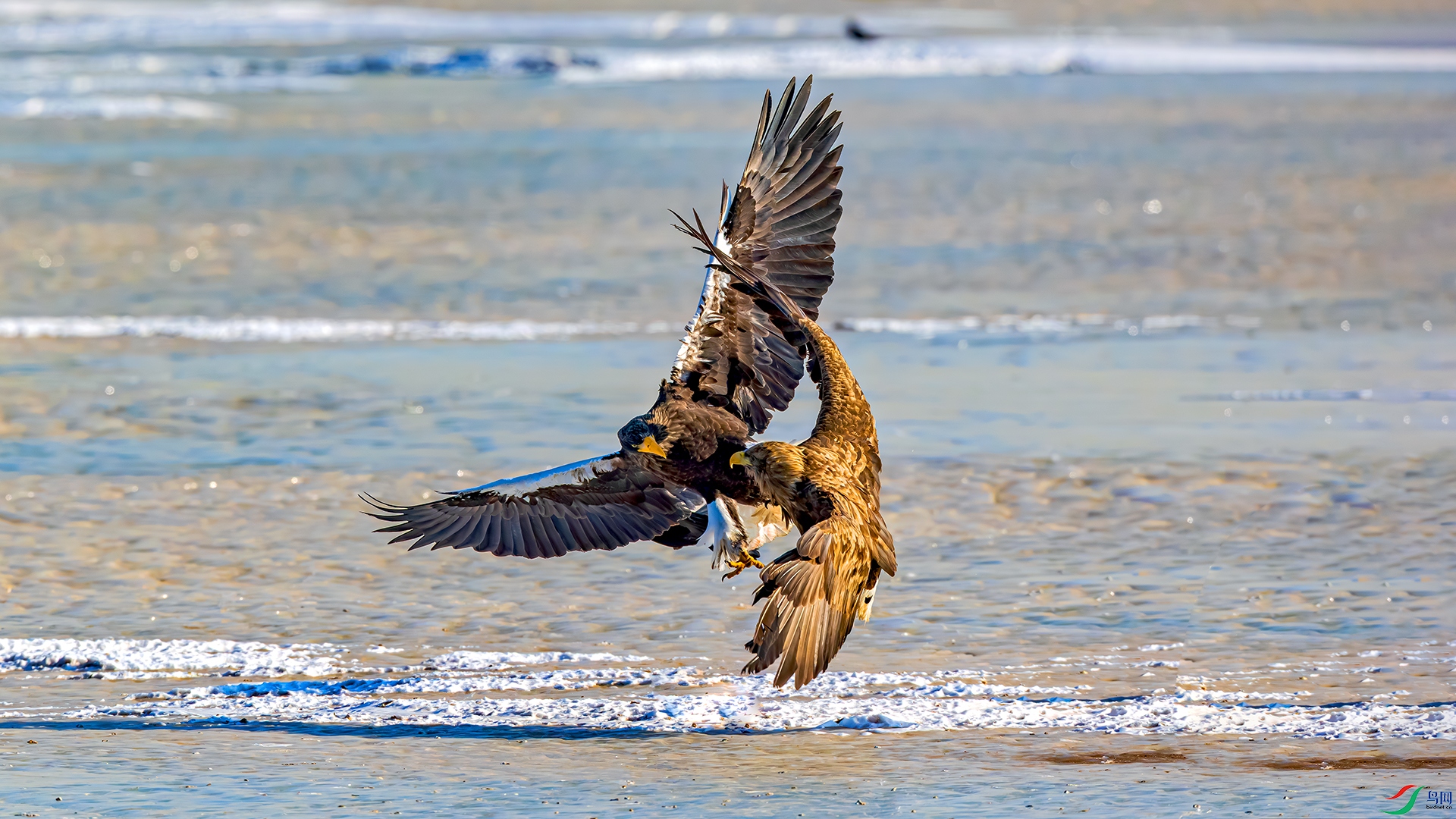 398A7414 ����.jpg