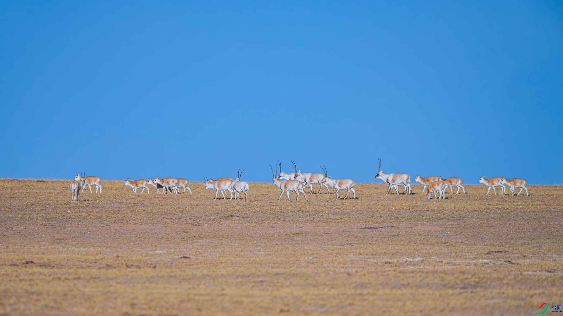 _DSC9419 ����_����.jpg