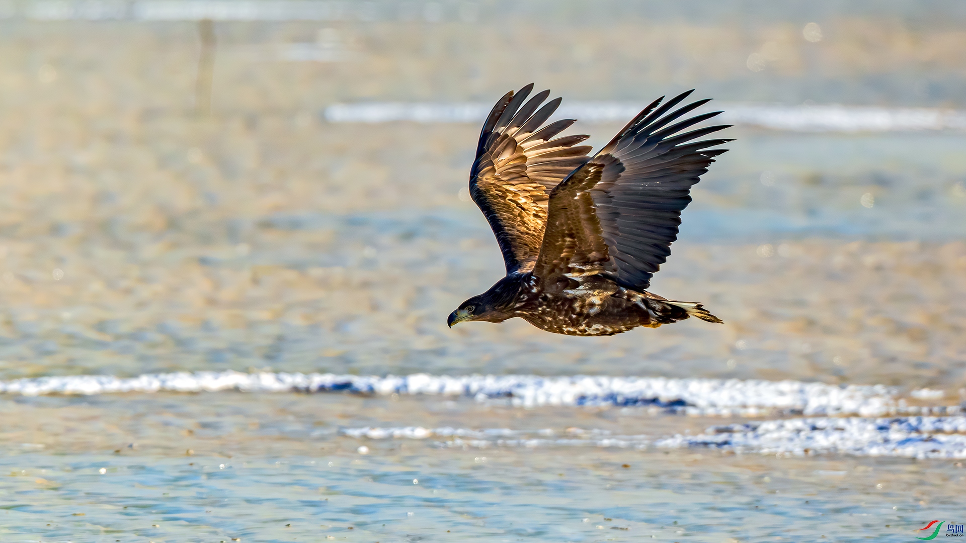 398A4727 ����.jpg